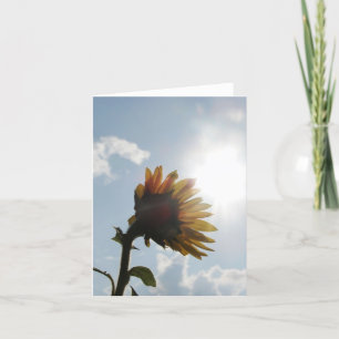 Kaart van de Nota van de zonnebloem de Lege