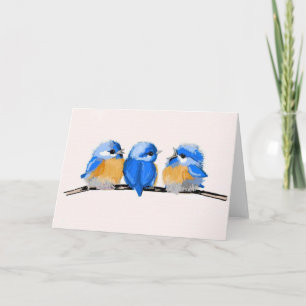 Kaart van de Nota van drie Schattige Sialia van