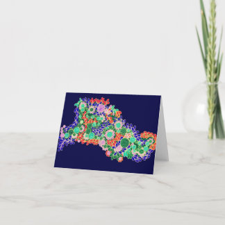 Kaart van de Nota van het Design van Leliza de