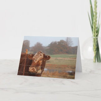 Kaart van de Nota van mamma's de Rode -- Het