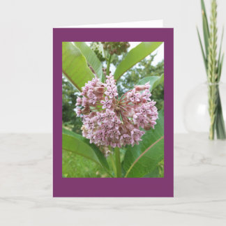 Kaart van de Nota van Milkweed de Lege