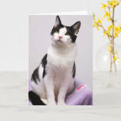 Kaart van de Smoking van de Redding van de Kat van (Gele Bloem)