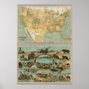 Kaart van de Verenigde Staten van Amerika 2 Poster