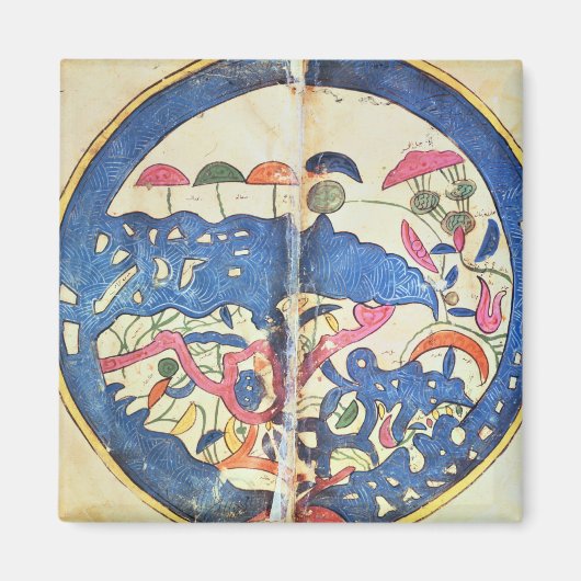 Kaart van Egypte, 1348 Magneet (Voorkant)