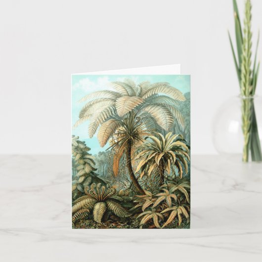 Kaart van Ernst Haeckel's Filicinae (Tree Ferns) (Voorkant)