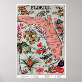  kaart van Florida (1917) Poster