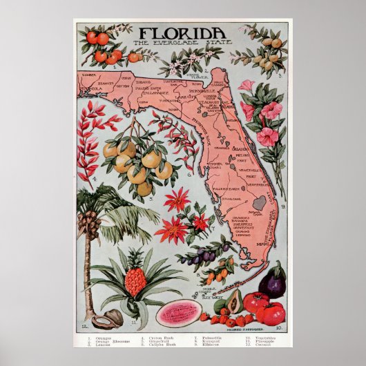  kaart van Florida (1917) Poster (Voorkant)