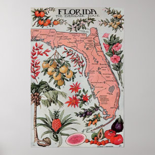 kaart van Florida Poster