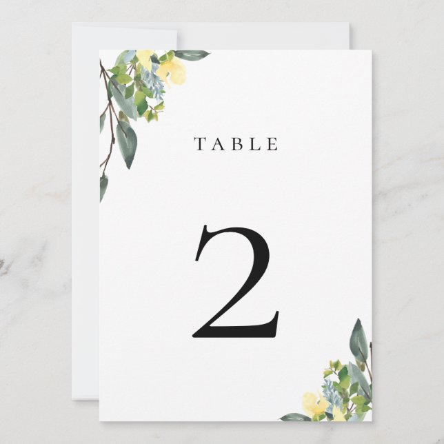 Kaart van het blauwe gele tabelnummer (Achterkant)