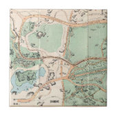  kaart van het centrale park (1860) tegeltje (Voorkant)