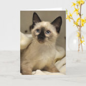 Kaart van het Katje van de Redding van de Kat van (Gele Bloem)