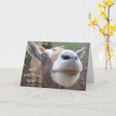 Kaart van het Moederdag van de geit de Gelukkige (Gele Bloem)