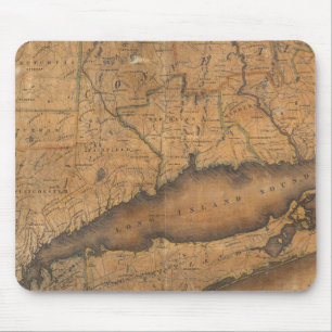 Kaart van het zuidelijke deel van de staat New Yor Muismat