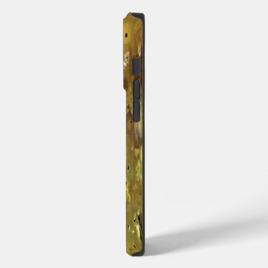 Kaart van Io Case-Mate iPhone Case (Achterkant / Links)