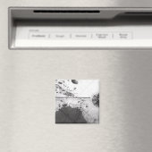 Kaart van landen magneet (Insitu (Vaatwasser))