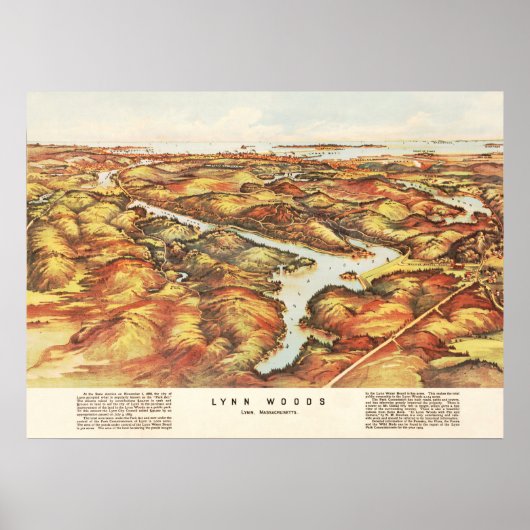 Kaart van Lynn Bossen, Massachusetts in 1904 Poster (Voorkant)