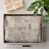  kaart van Montgomery, Alabama (1899) Tissuepapier (Geschenk)