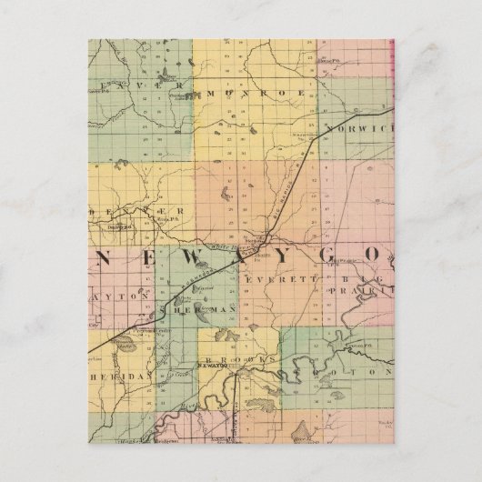 Kaart van Newaygo County, Michigan (Voorkant)