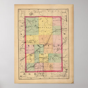 Kaart van Newaygo County, Michigan Poster