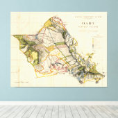 kaart van Oahu Hawaii (1906) Canvas Afdruk (Insitu (Houten vloer))
