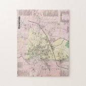  kaart van Stamford CT (1867) Legpuzzel (Verticaal)