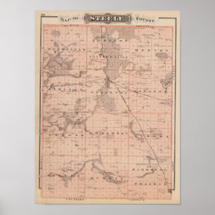 Kaart van Steele County, Minnesota Poster