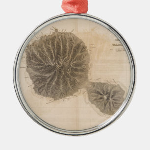 kaart van Tahiti (1845) Metalen Ornament