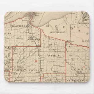 Kaart van Wisconsin met senatoriale districten Muismat