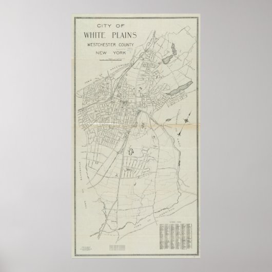  kaart van witte vlakken NY (1921) Poster (Voorkant)