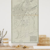  kaart van witte vlakken NY (1921) Poster (Keuken)