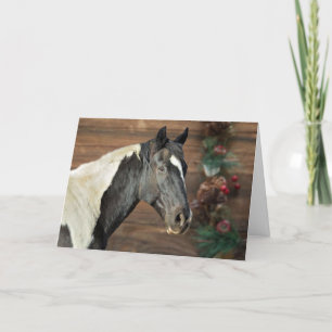 Kaart Verfaards verfpaarden