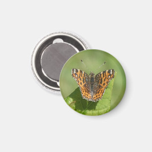 Kaart Vlinder op een bladmagneet Magneet