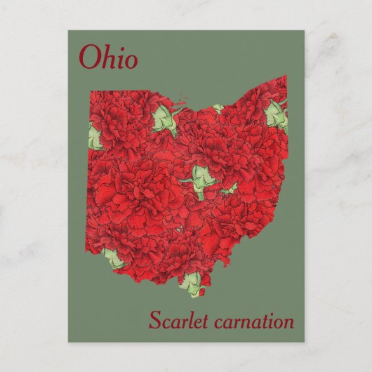 Kaart voor de bloem van de deelstaat Ohio (Voorkant)