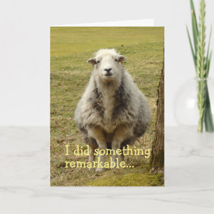 Kaart voor de schapenverjaardag
