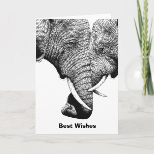 Kaart voor de verjaardag van de jonge olifant