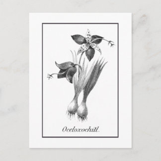 kaart voor het etsen van tijgerbloemen