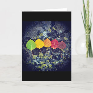 Kaart voor iedereen en elk seizoen