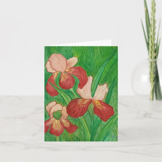 Kaart voor Iris Note Backyard (Voorkant)
