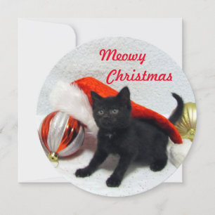 Kaart voor kerstmis van Joon - Cute Cat Pic