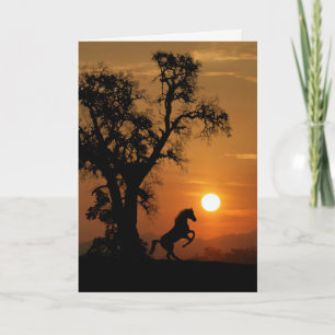 Kaart voor paarden- en eekbomen