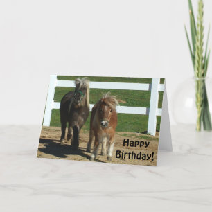 Kaart voor paardenvlees van Cute Miniature Horse B