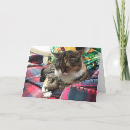 kaart voor snel herstel van kitten #2