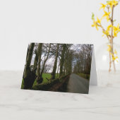 Kaart voor wegnota over weidegrond (Gele Bloem)