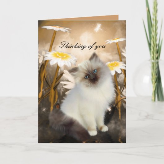 Kaart White Cat Kitten Flowers "Thinking of you" (Voorkant)