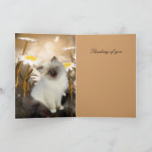 Kaart White Cat Kitten Flowers "Thinking of you" (Binnen)