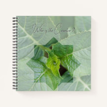 Kaart "Wie is de Schepper?"