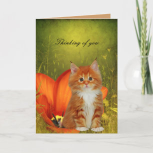 Kaart Witte Kat Kitten Bloemen "Denk aan jou"