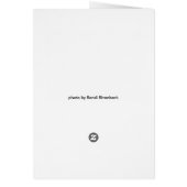 Kaart - zwarte-ogen Susans (Achterkant)