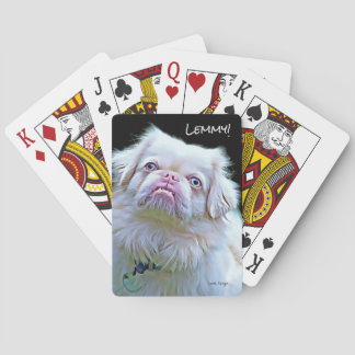 Kaarten afspelen... Lemmy the Pekingese.