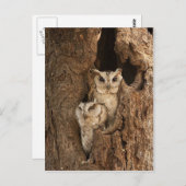 Kaarten, Briefkaarten, Stickers Briefkaart (Voorkant / Achterkant)